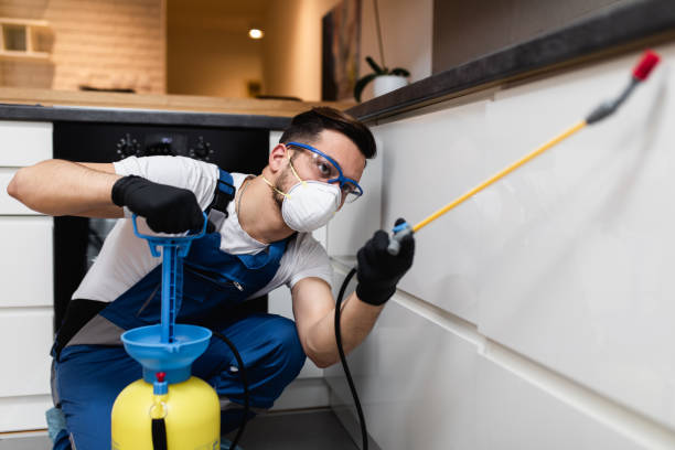 Best Cockroach Control Services  in Perry Park, CO