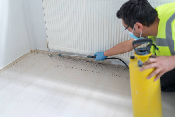 Best Exterminator Services  in Perry Park, CO